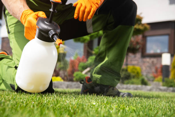 Best Spider Control Near Me  in East Lansing, MI