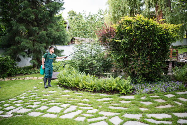 Best Ant Control Services  in East Lansing, MI