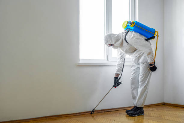 Best Local Pest Control Services  in East Lansing, MI
