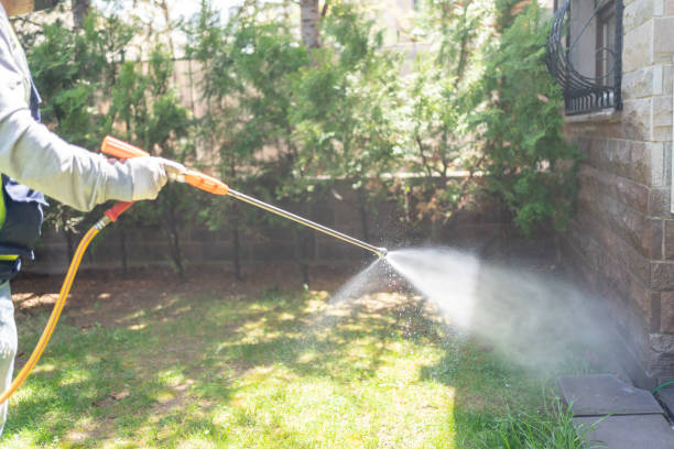 Best Bird Control  in East Lansing, MI
