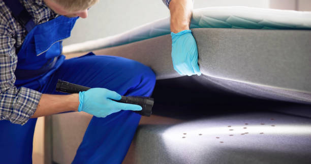 Best Rat Extermination Near Me  in East Lansing, MI