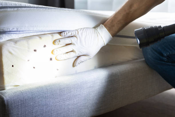 Best Cockroach Control Services  in East Lansing, MI