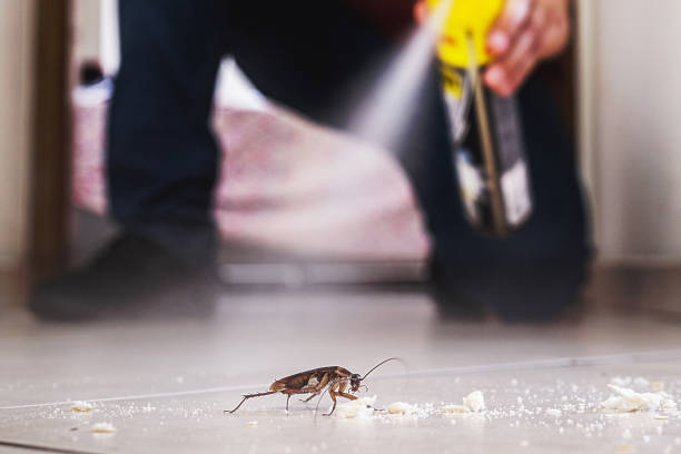 Best Bed Bug Extermination  in East Lansing, MI