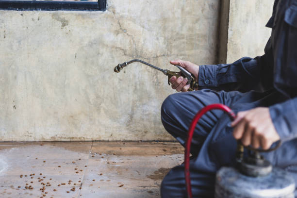 Best Flea Control Services  in East Lansing, MI